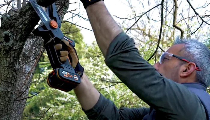 20V Cordless Pole Chainsaw with Battery WORX WG325E